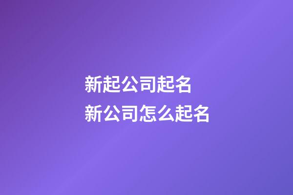 新起公司起名 新公司怎么起名-第1張-公司起名-玄機派